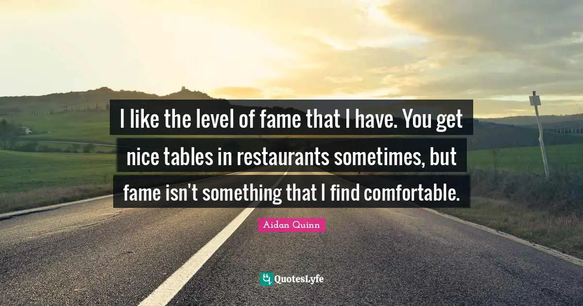 I like the level of fame that I have. You get nice tables in restaurants sometimes, but fame isn't something that I find comfortable.