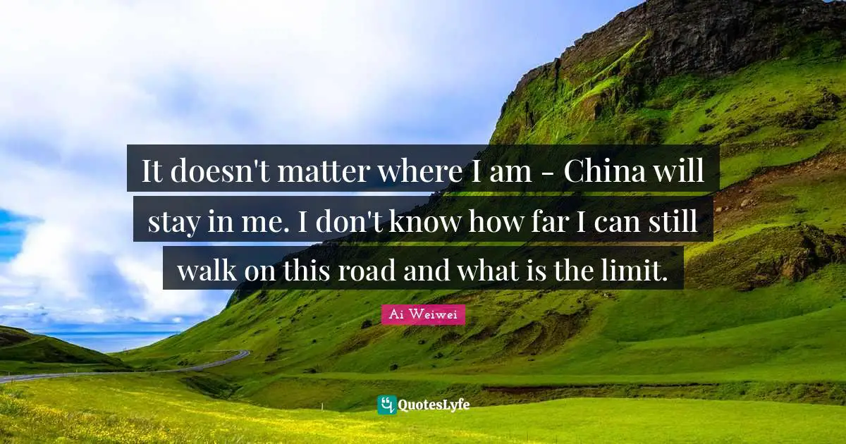 It doesn't matter where I am - China will stay in me. I don't know how far I can still walk on this road and what is the limit.