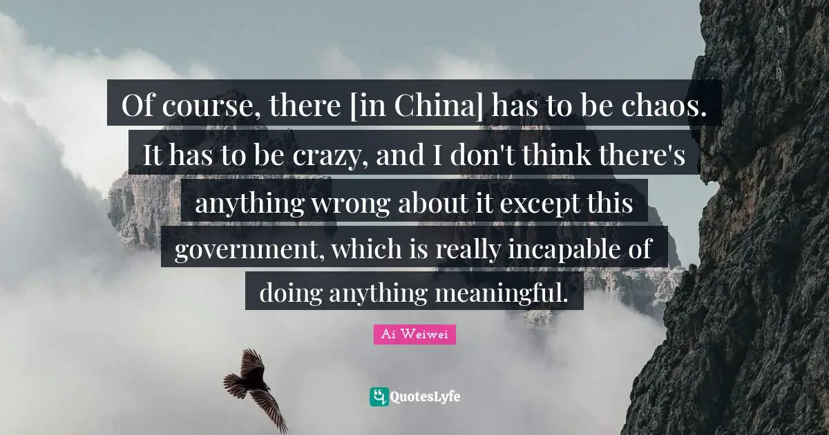 Of course, there [in China] has to be chaos. It has to be crazy, and I don't think there's anything wrong about it except this government, which is really incapable of doing anything meaningful.