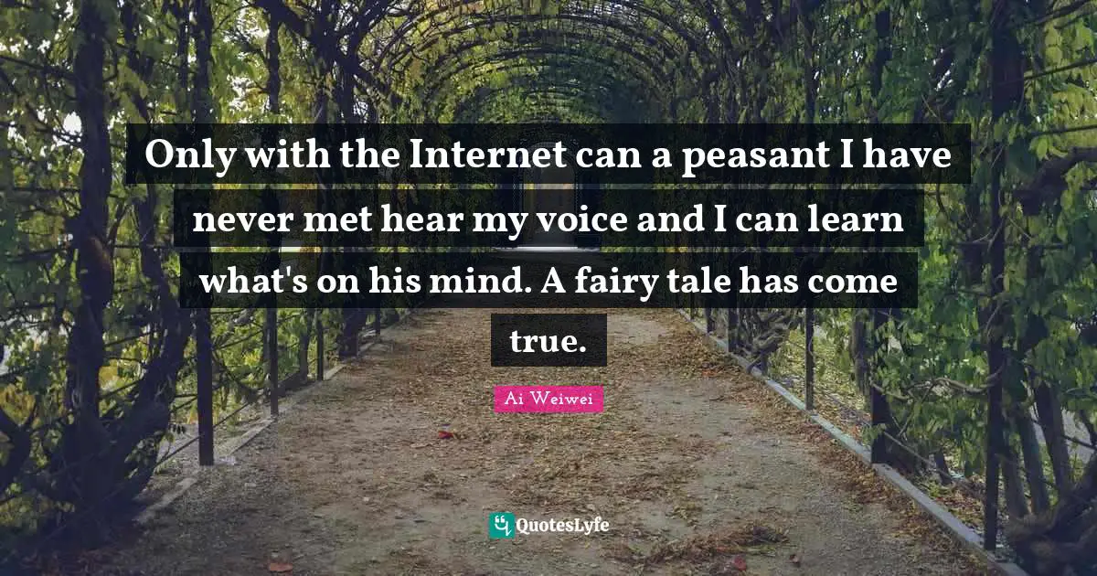 Only with the Internet can a peasant I have never met hear my voice and I can learn what's on his mind. A fairy tale has come true.