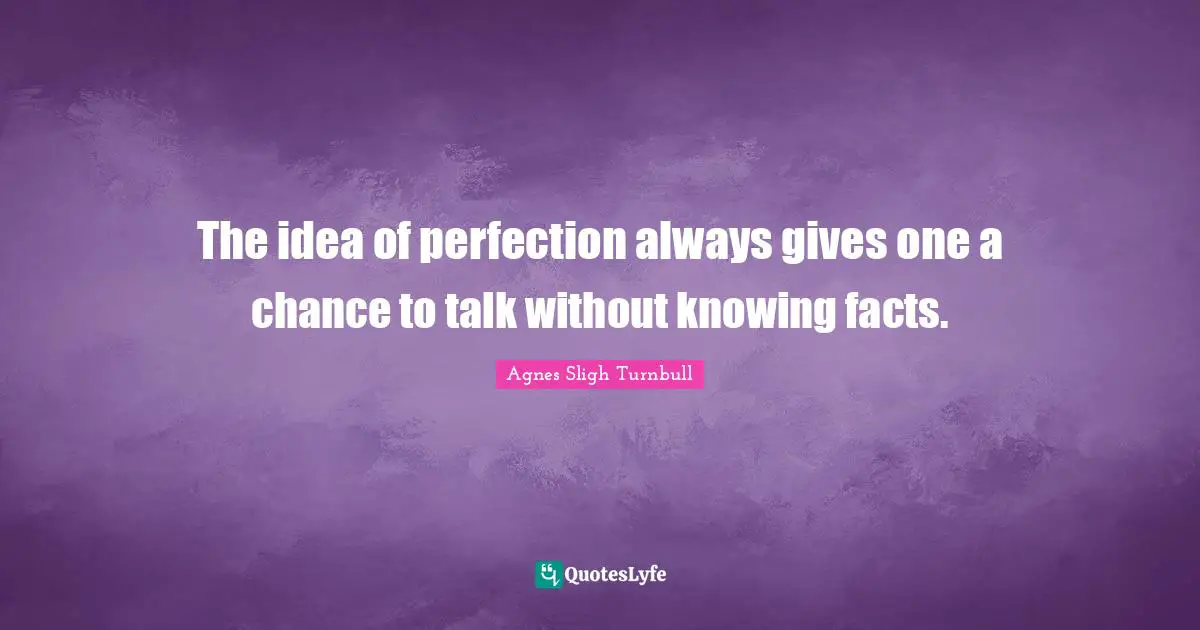 The idea of perfection always gives one a chance to talk without knowing facts.