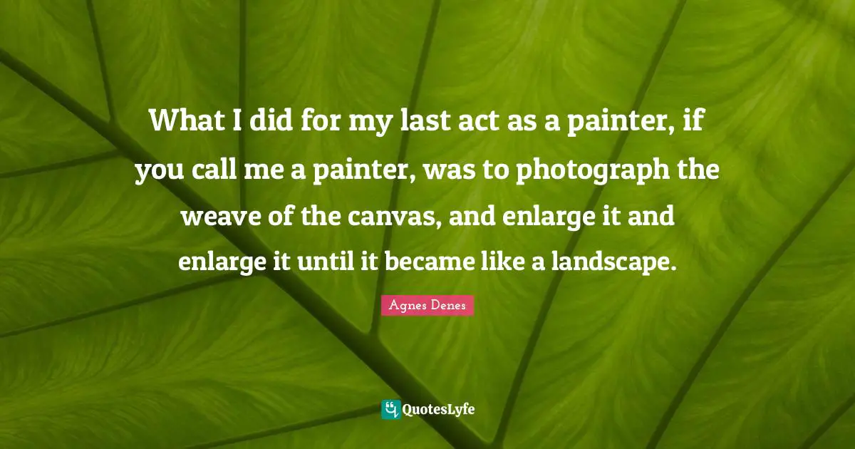 What I did for my last act as a painter, if you call me a painter, was to photograph the weave of the canvas, and enlarge it and enlarge it until it became like a landscape.