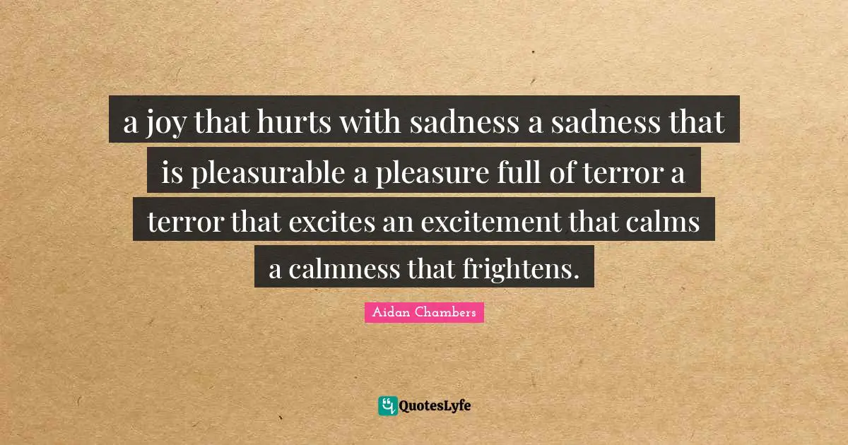Calmness Quotes: "a joy that hurts with sadness a sadness that is pleasurable a pleasure full of terror a terror that excites an excitement that calms a calmness that frightens."