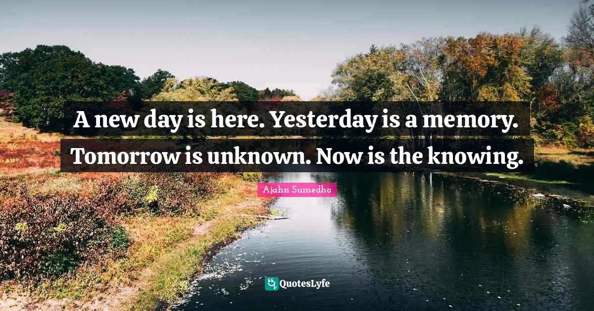 New Day Quotes: "A new day is here. Yesterday is a memory. Tomorrow is unknown. Now is the knowing."