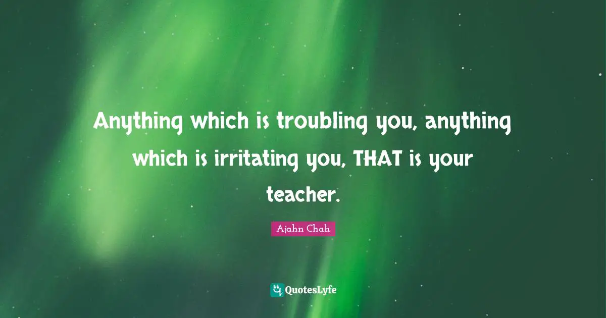Teacher Quotes: "Anything which is troubling you, anything which is irritating you, THAT is your teacher."