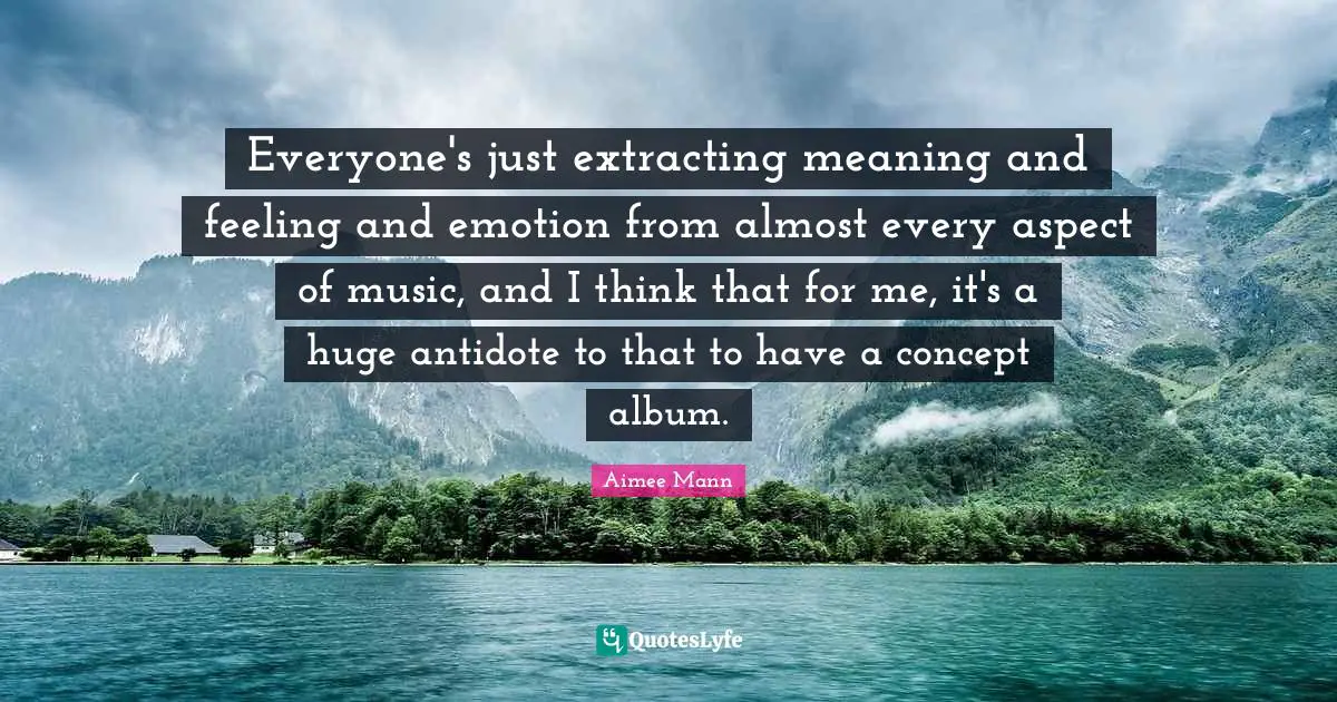 Everyone's just extracting meaning and feeling and emotion from almost every aspect of music, and I think that for me, it's a huge antidote to that to have a concept album.