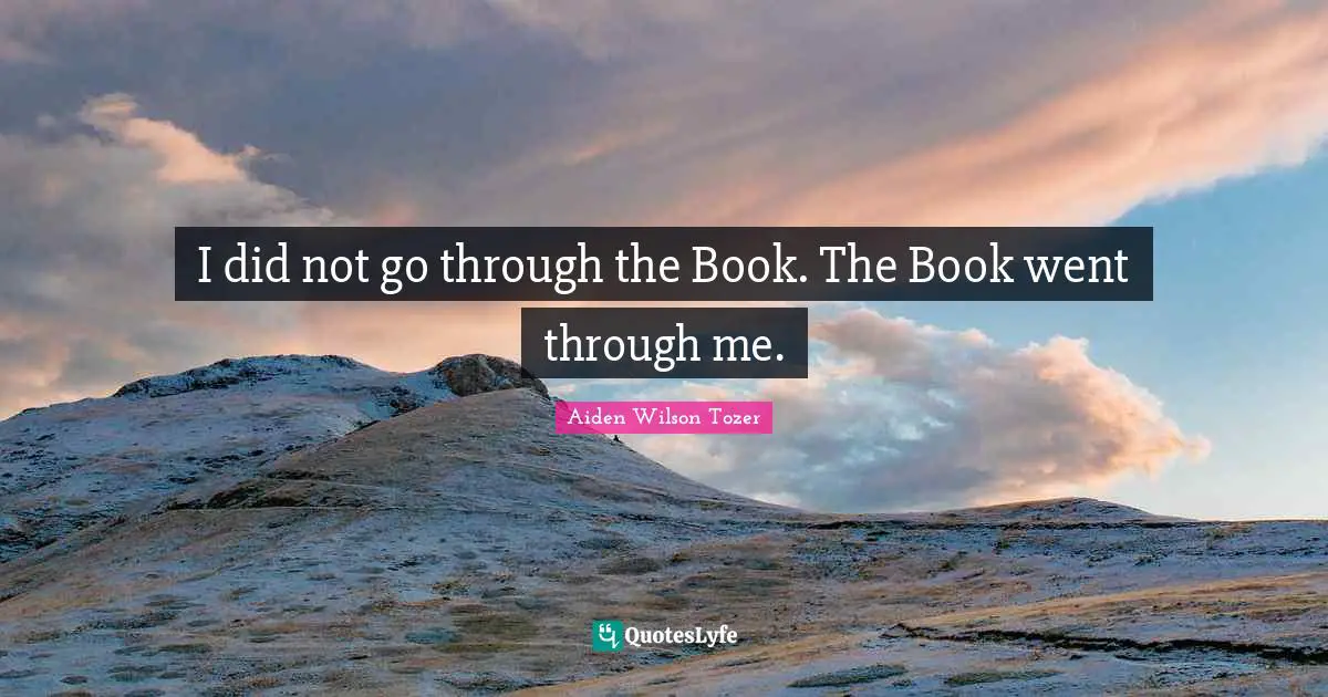 I did not go through the Book. The Book went through me.