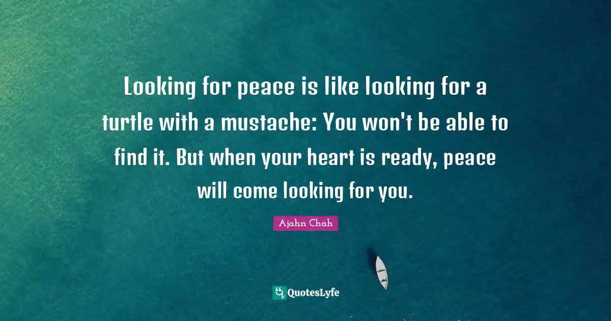 Looking for peace is like looking for a turtle with a mustache: You won't be able to find it. But when your heart is ready, peace will come looking for you.