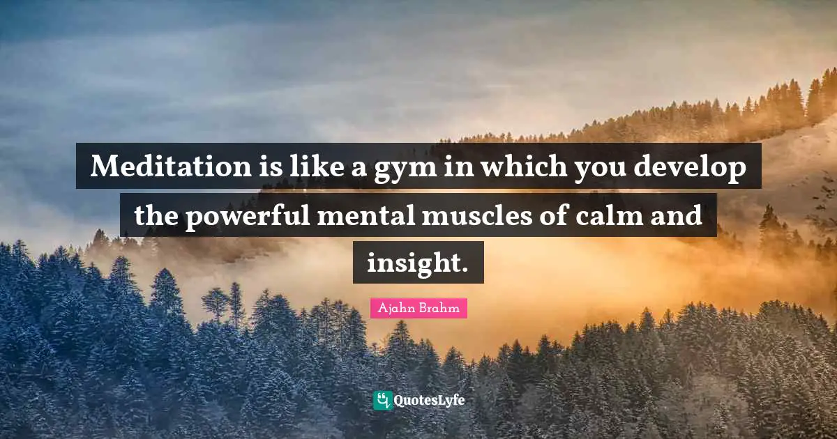 Calm Quotes: "Meditation is like a gym in which you develop the powerful mental muscles of calm and insight."