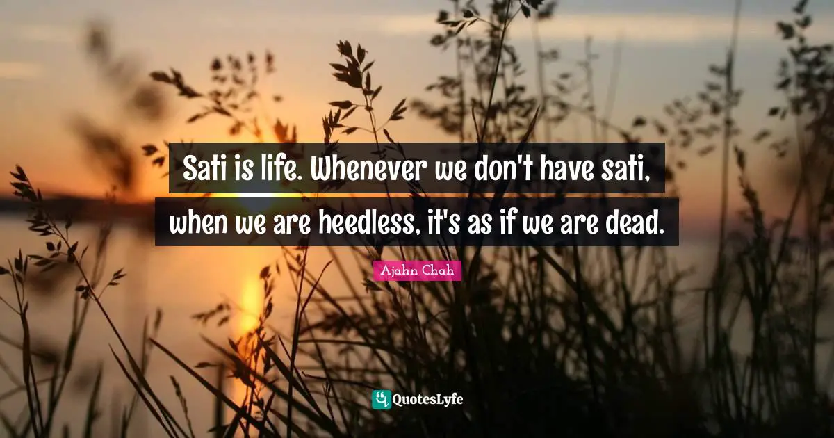 Ajahn Chah Quotes: "Sati is life. Whenever we don't have sati, when we are heedless, it's as if we are dead."