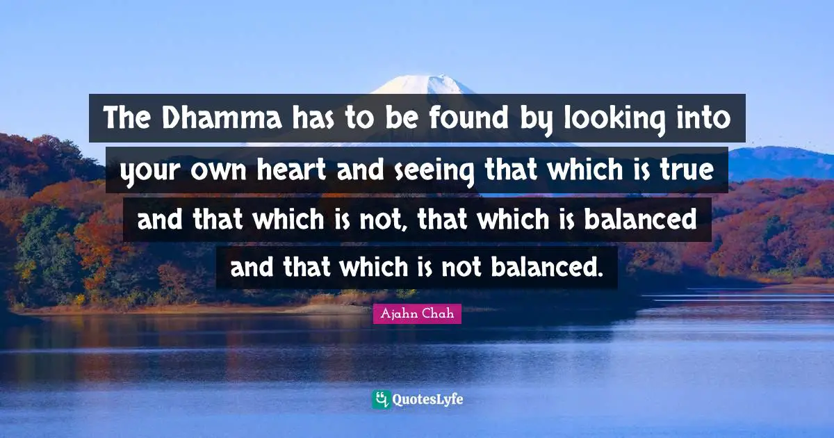 Ajahn Chah Quotes: "The Dhamma has to be found by looking into your own heart and seeing that which is true and that which is not, that which is balanced and that which is not balanced."