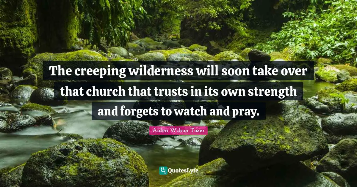 The creeping wilderness will soon take over that church that trusts in its own strength and forgets to watch and pray.