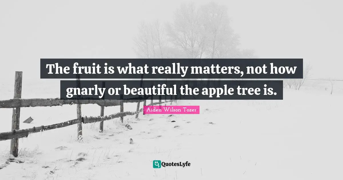 Gnarly Quotes: "The fruit is what really matters, not how gnarly or beautiful the apple tree is."