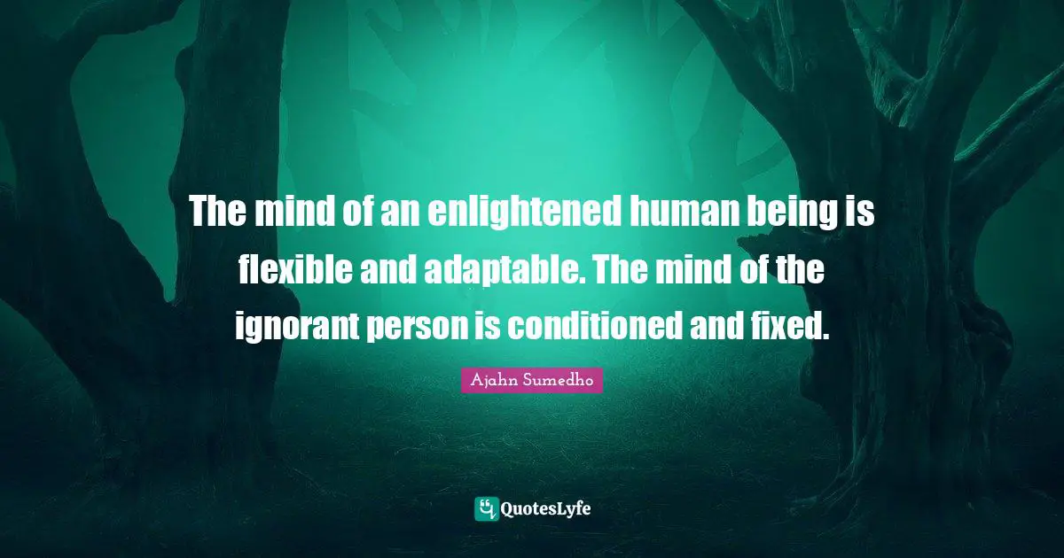 Buddhist Quotes: "The mind of an enlightened human being is flexible and adaptable. The mind of the ignorant person is conditioned and fixed."