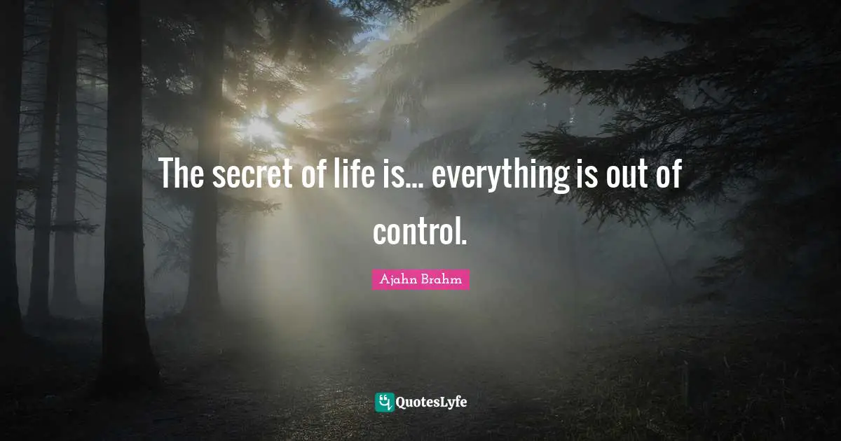 The secret of life is... everything is out of control.