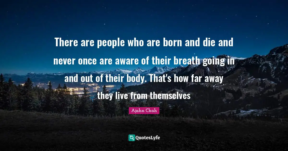 There are people who are born and die and never once are aware of their breath going in and out of their body. That's how far away they live from themselves