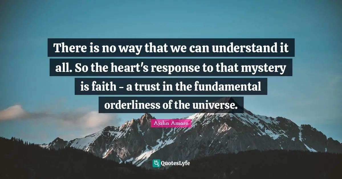 There is no way that we can understand it all. So the heart's response to that mystery is faith - a trust in the fundamental orderliness of the universe.