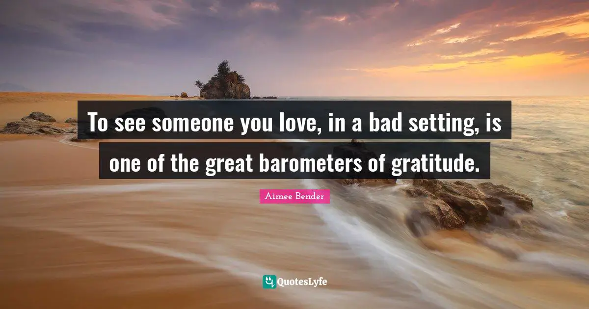 Aimee Bender Quotes: "To see someone you love, in a bad setting, is one of the great barometers of gratitude."