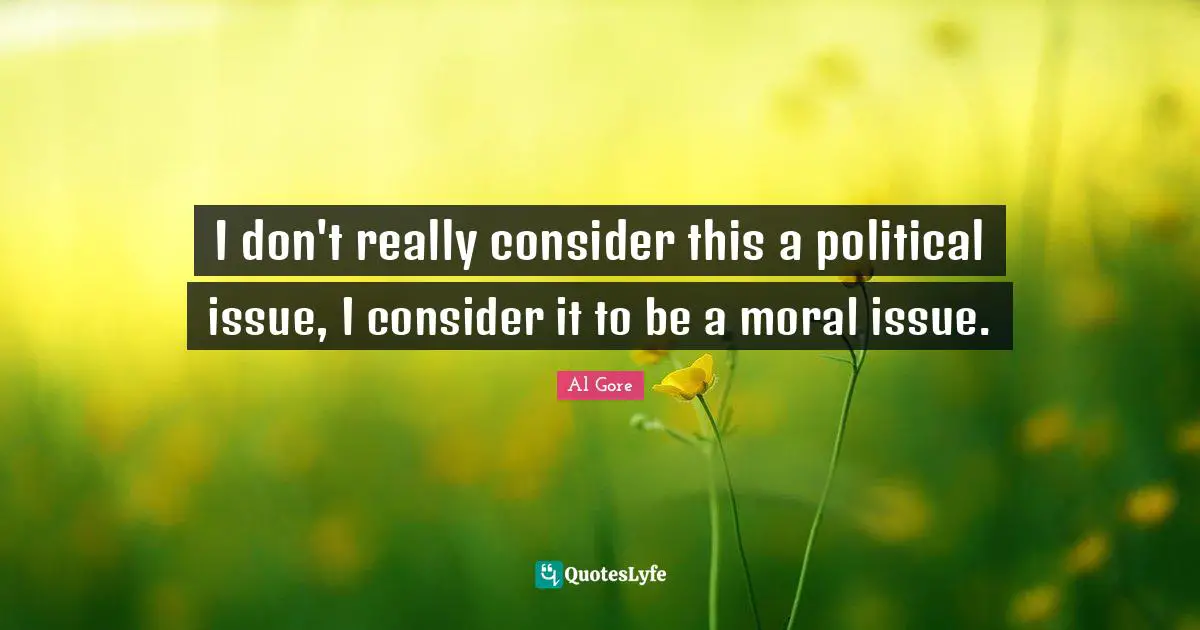 I don't really consider this a political issue, I consider it to be a moral issue.