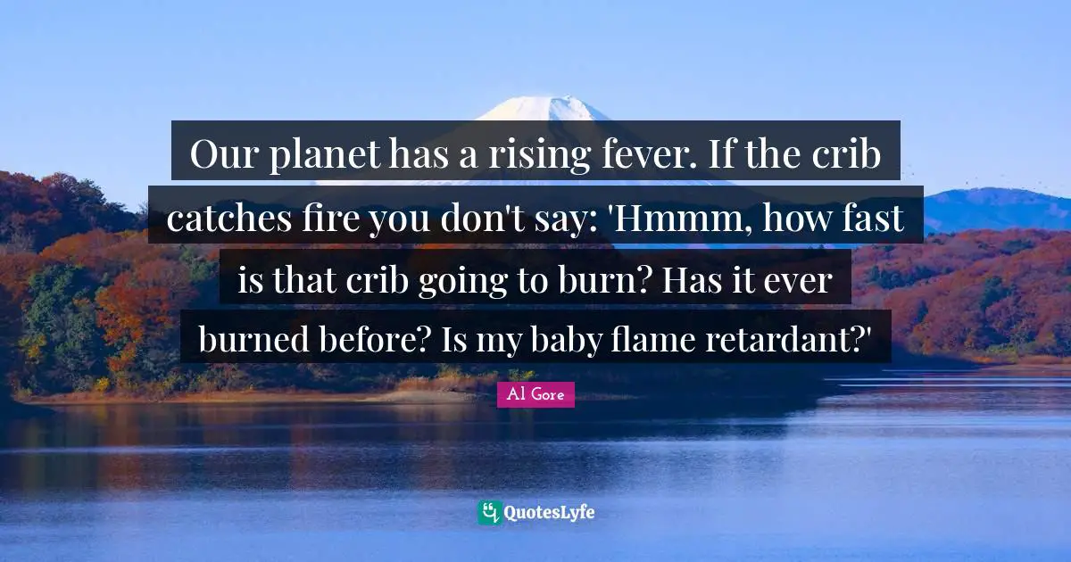 Our planet has a rising fever. If the crib catches fire you don't say: 'Hmmm, how fast is that crib going to burn? Has it ever burned before? Is my baby flame retardant?'