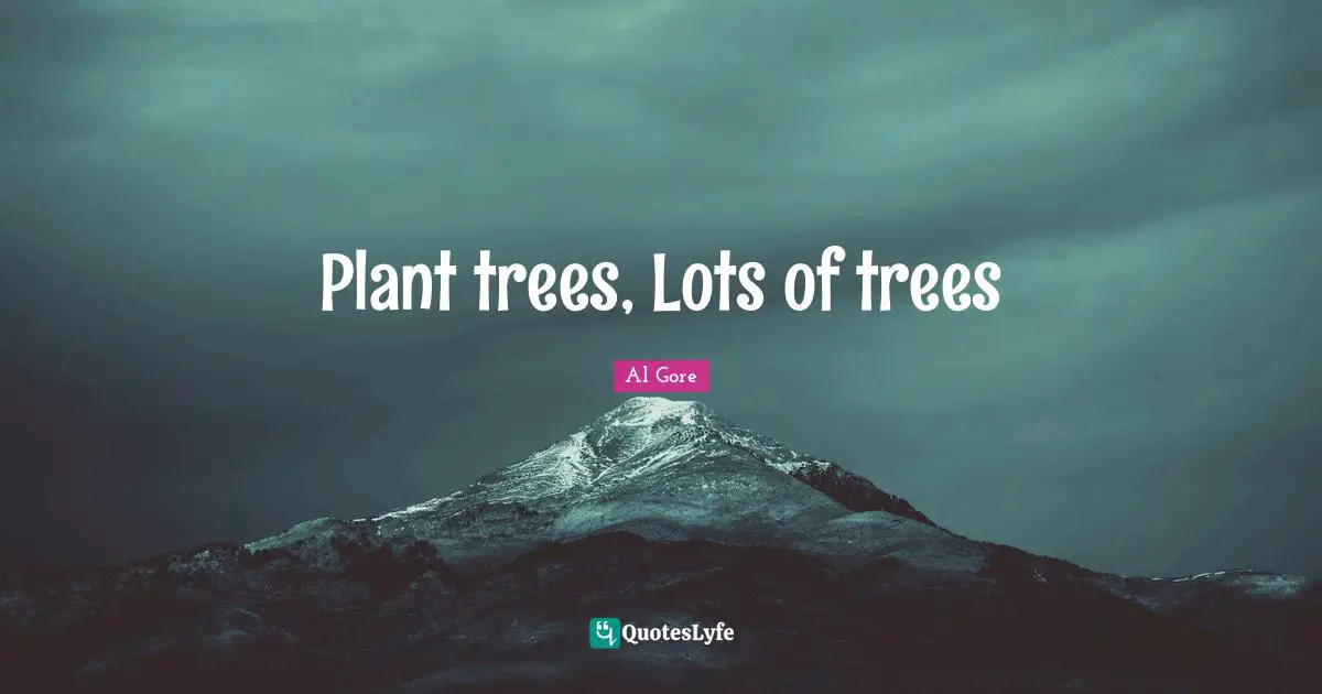 Plant trees, Lots of trees