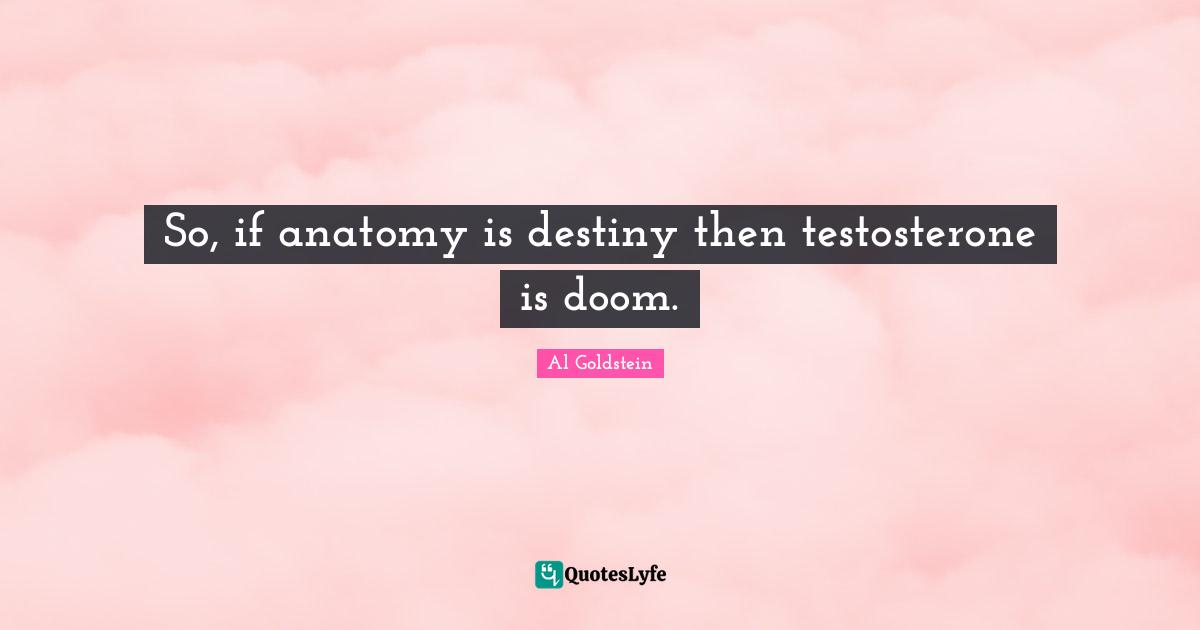 So, if anatomy is destiny then testosterone is doom.