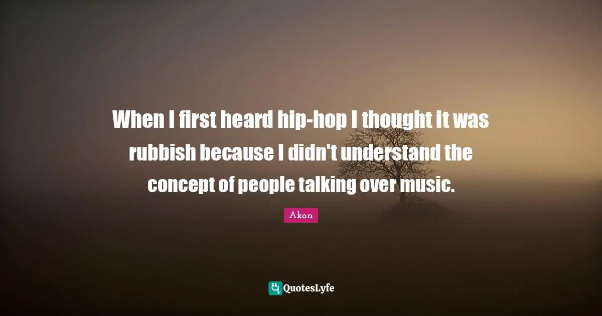 When I first heard hip-hop I thought it was rubbish because I didn't understand the concept of people talking over music.