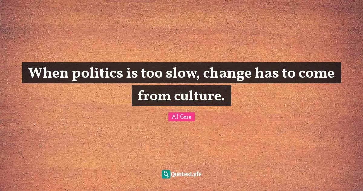 When politics is too slow, change has to come from culture.