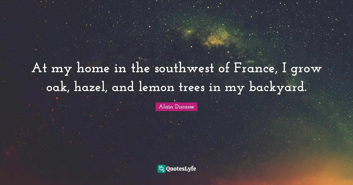 Alain Ducasse Quotes: "At my home in the southwest of France, I grow oak, hazel, and lemon trees in my backyard."
