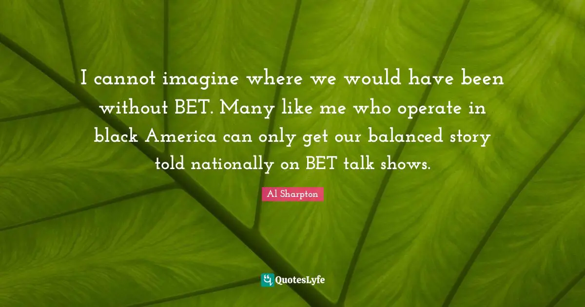 I cannot imagine where we would have been without BET. Many like me who operate in black America can only get our balanced story told nationally on BET talk shows.