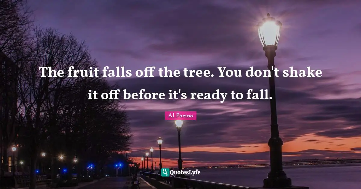 The fruit falls off the tree. You don't shake it off before it's ready to fall.
