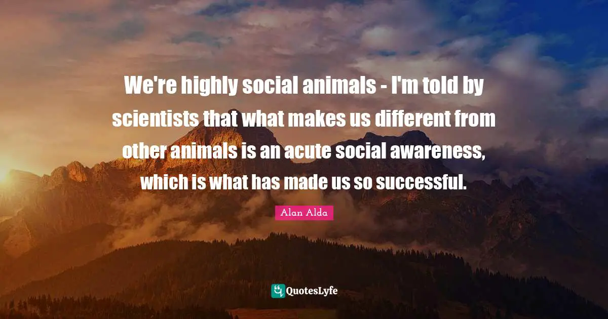 We're highly social animals - I'm told by scientists that what makes us different from other animals is an acute social awareness, which is what has made us so successful.