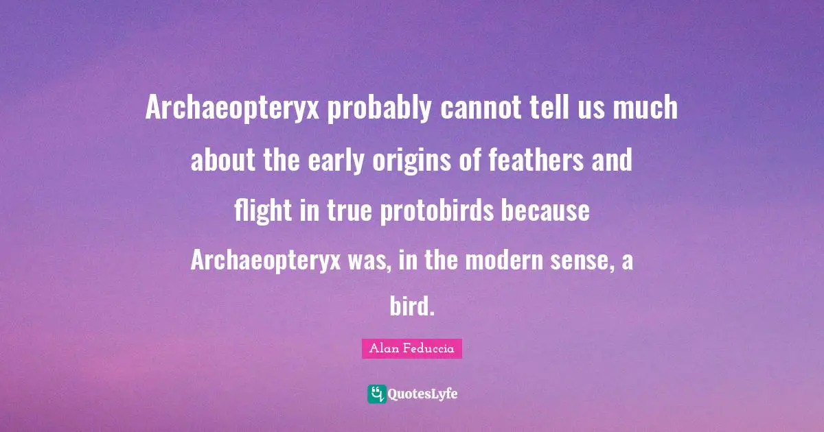 Archaeopteryx probably cannot tell us much about the early origins of feathers and flight in true protobirds because Archaeopteryx was, in the modern sense, a bird.