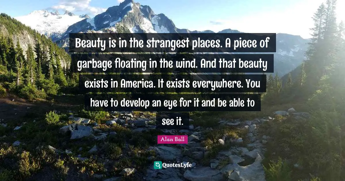 Beauty is in the strangest places. A piece of garbage floating in the wind. And that beauty exists in America. It exists everywhere. You have to develop an eye for it and be able to see it.