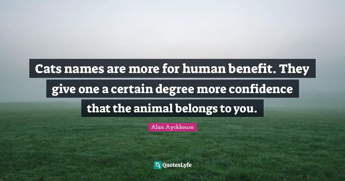 Cats names are more for human benefit. They give one a certain degree more confidence that the animal belongs to you.