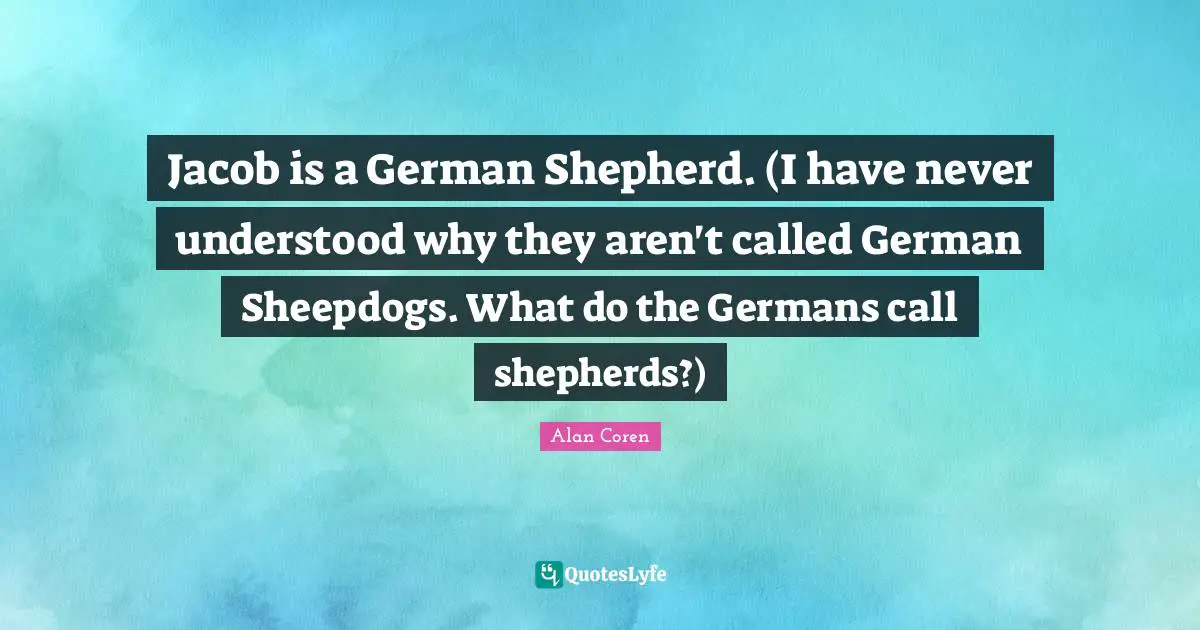 Jacob is a German Shepherd. (I have never understood why they aren't called German Sheepdogs. What do the Germans call shepherds?)