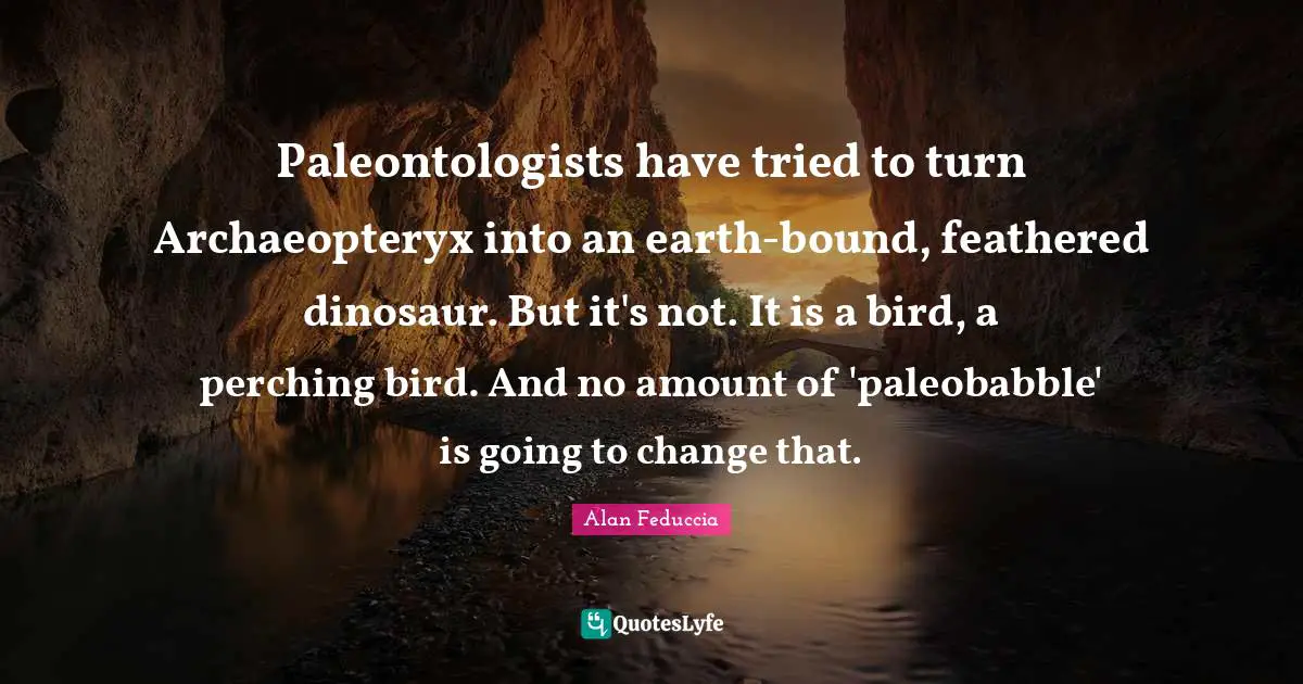Paleontologists have tried to turn Archaeopteryx into an earth-bound, feathered dinosaur. But it's not. It is a bird, a perching bird. And no amount of 'paleobabble' is going to change that.