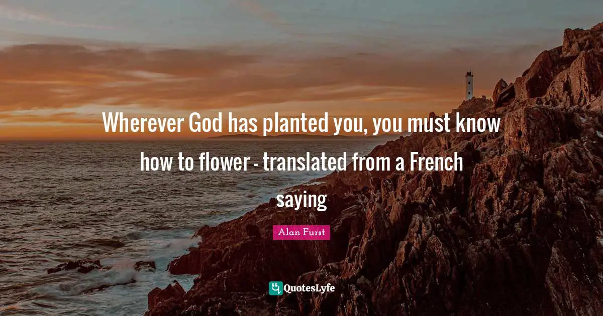 Wherever God has planted you, you must know how to flower - translated from a French saying