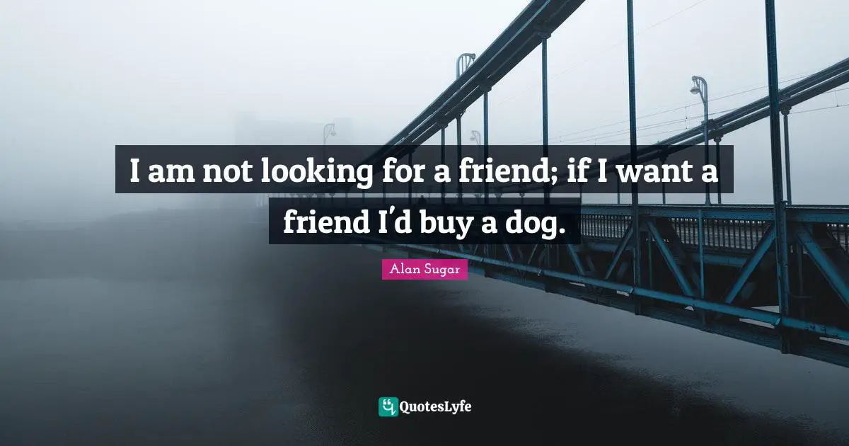 I am not looking for a friend; if I want a friend I'd buy a dog.