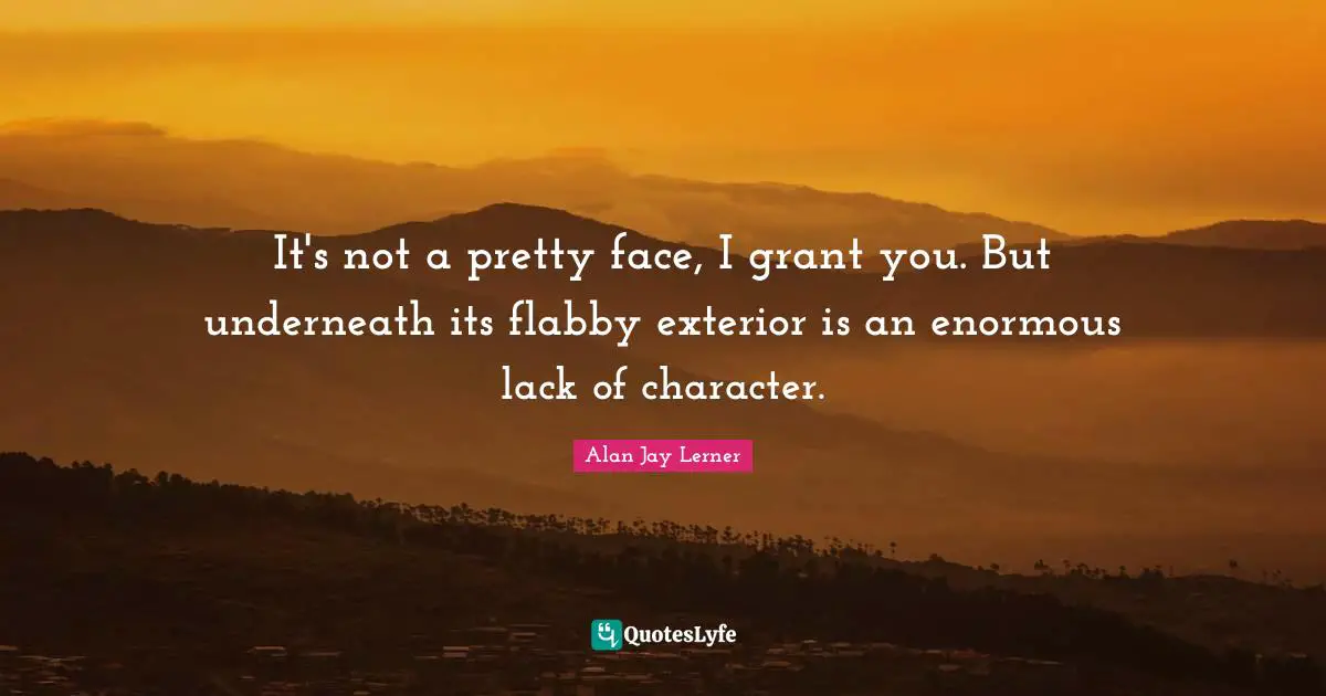 It's not a pretty face, I grant you. But underneath its flabby exterior is an enormous lack of character.