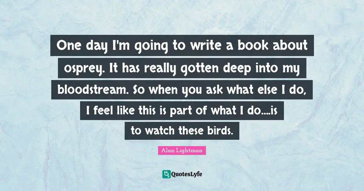 One day I'm going to write a book about osprey. It has really gotten deep into my bloodstream. So when you ask what else I do, I feel like this is part of what I do....is to watch these birds.