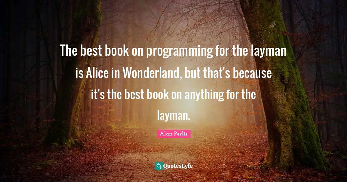 The best book on programming for the layman is Alice in Wonderland, but that's because it's the best book on anything for the layman.