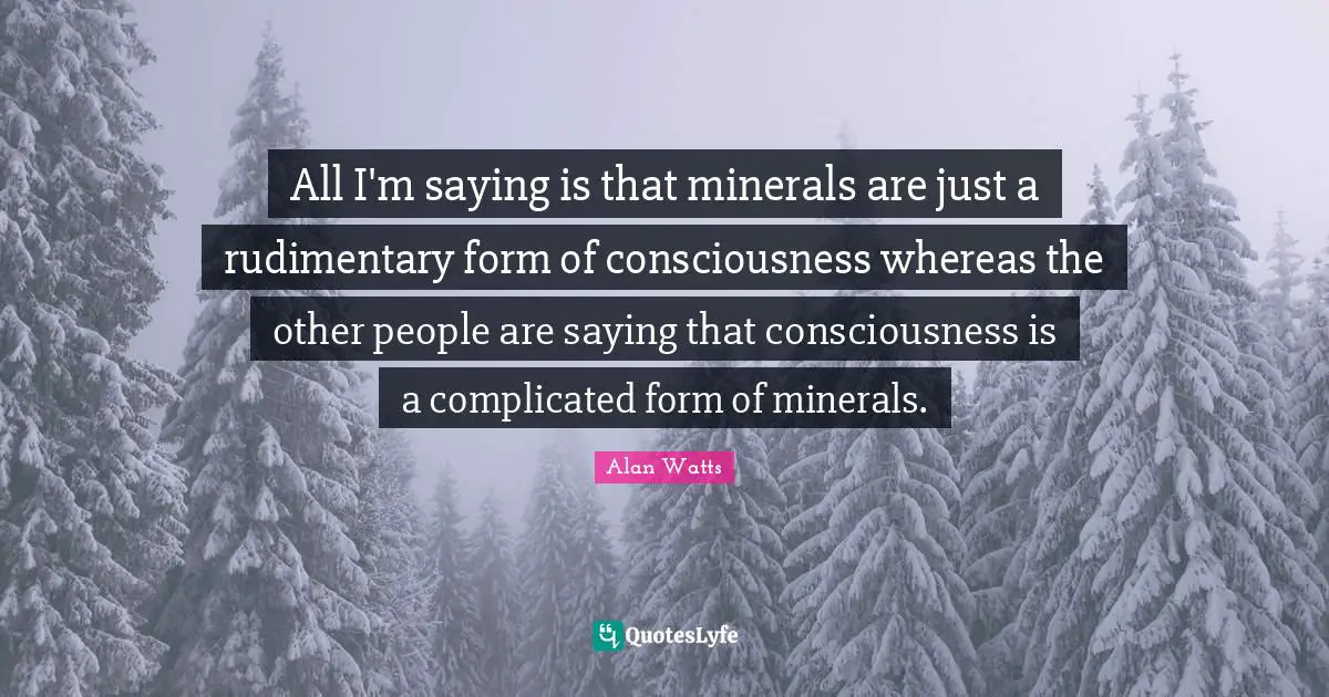 All I'm saying is that minerals are just a rudimentary form of consciousness whereas the other people are saying that consciousness is a complicated form of minerals.