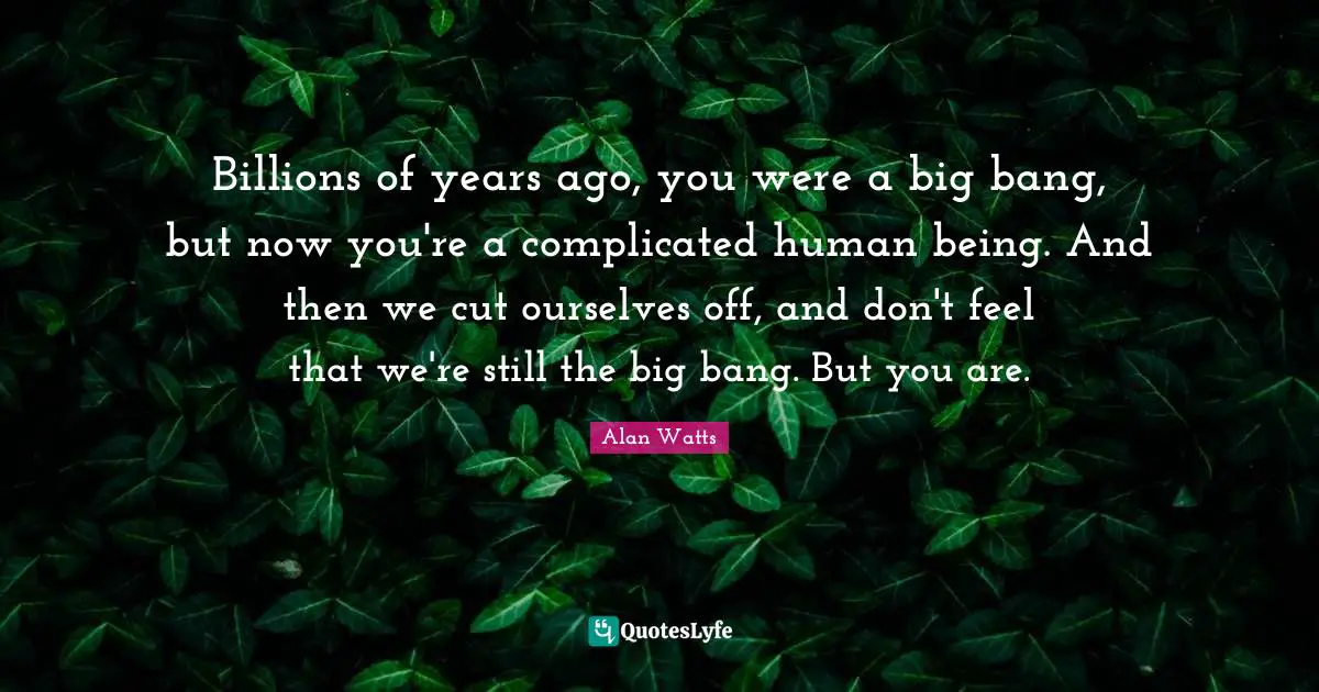 Billions of years ago, you were a big bang, but now you're a complicated human being. And then we cut ourselves off, and don't feel that we're still the big bang. But you are.