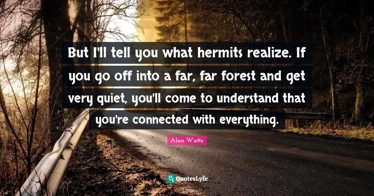 But I'll tell you what hermits realize. If you go off into a far, far forest and get very quiet, you'll come to understand that you're connected with everything.