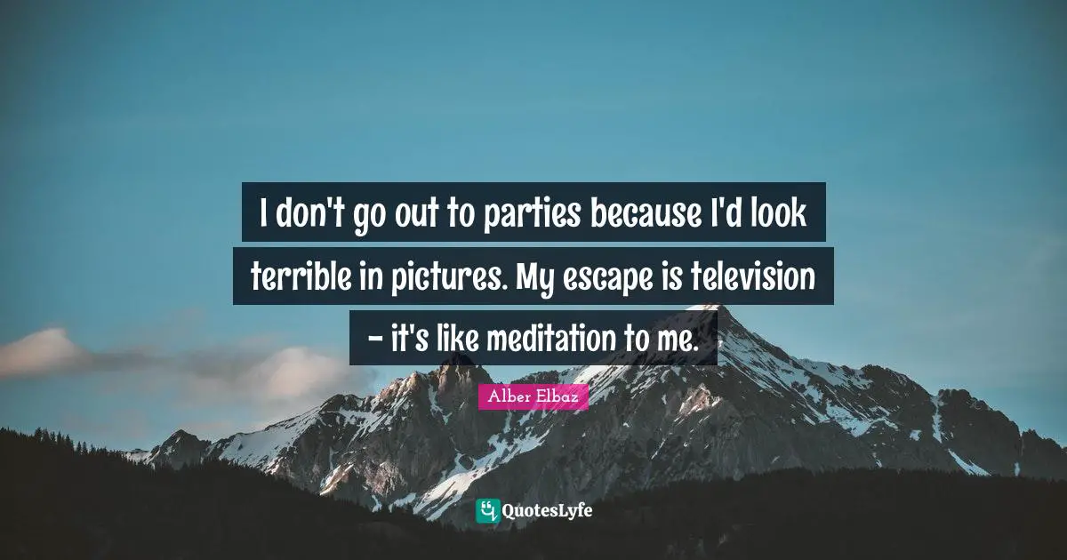I don't go out to parties because I'd look terrible in pictures. My escape is television - it's like meditation to me.