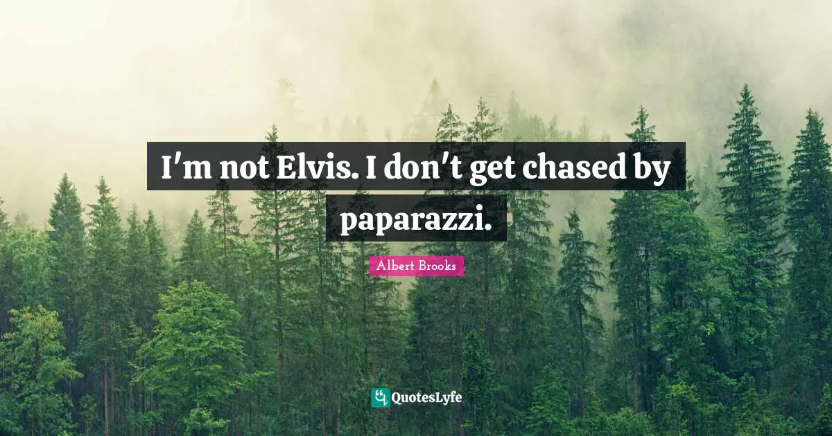 I'm not Elvis. I don't get chased by paparazzi.
