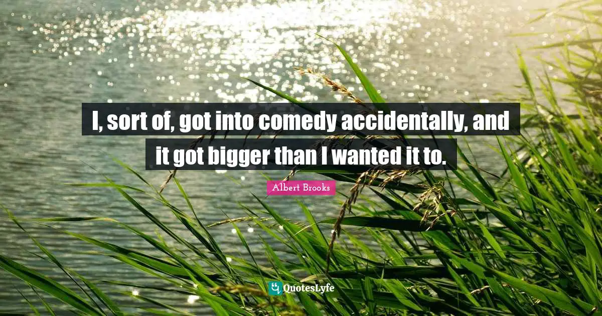 I, sort of, got into comedy accidentally, and it got bigger than I wanted it to.