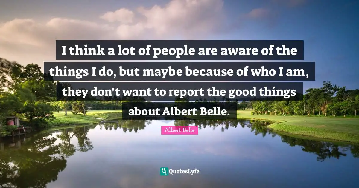 I think a lot of people are aware of the things I do, but maybe because of who I am, they don't want to report the good things about Albert Belle.