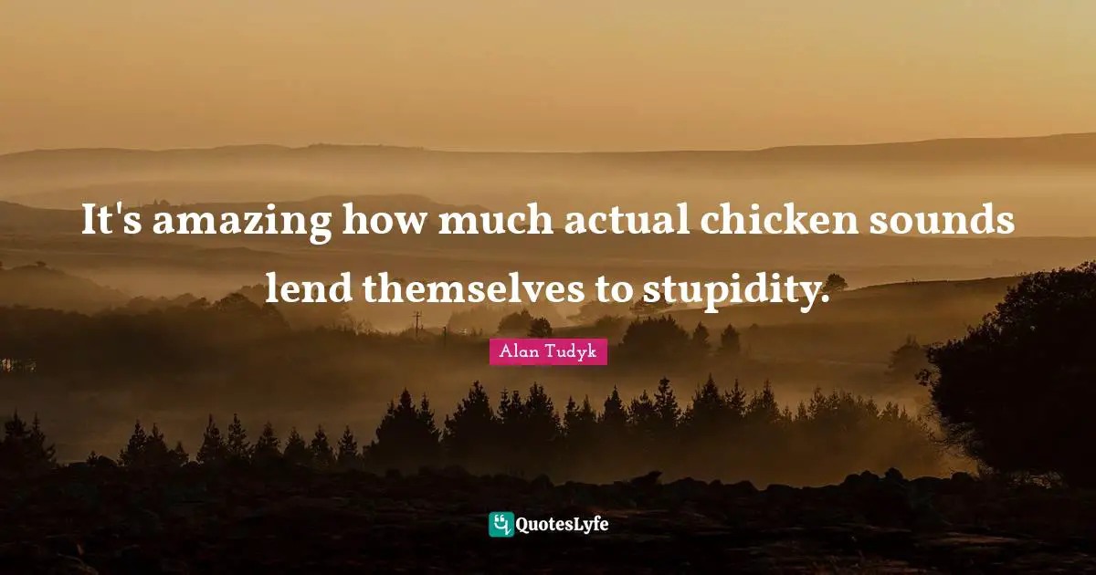 It's amazing how much actual chicken sounds lend themselves to stupidity.